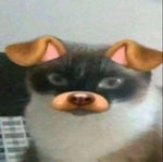 Almendra A Estos Hombres Tristes (sped up) - Sound