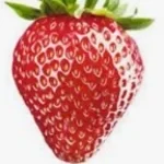 udarchik ne zapominai