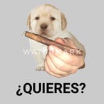 Quieres?