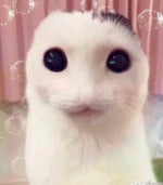 old roblox horror music