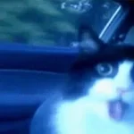 Really needed that batlle pass