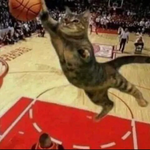 Brutal acabou pro beta