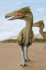 Big Bird Sound Effect