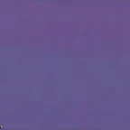 Recording 10/17/25 18:32:35