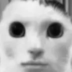 ecris slash r tout coller