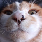 eternument explosion - Sound