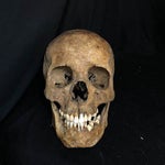 Berserk Skeleton Meme Extended