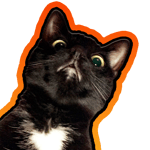Hype Giveaway Countdown
