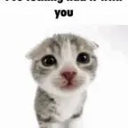 Meet Your Making Forsaken OST