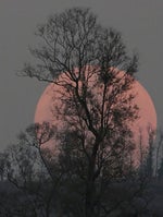 Ali Navab – Gerye Kon Baram