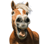 Sound Effect Ikuzo Temera Ikuzo Ora (Genjeh) - Sound