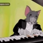 Yara Yara Phonk