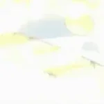 il ont critiquer mon flow