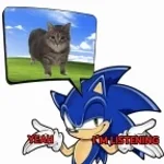 Sonic OM SPEED