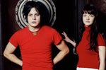 the white stripes poppy