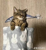 Half Life 1 All Scientist Screams Soundeffects [SFX]