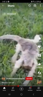 Macaco vai cair
