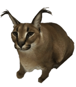 mokey fnf Krimah sr pelo srpelo