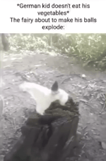 Santa gets punched INTO THE SUN