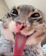 STOP HITTING YOURSELF