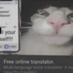 Deepwoken Wipe Sound Effect (copy) - Sound