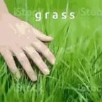Touching Grass Tutorial