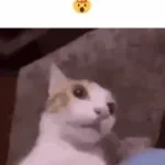 Пиздец (copy) (copy) (copy)