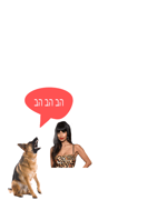 נייר עכשיו - Sound