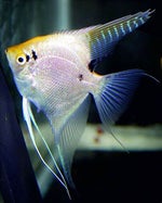 las mujeres se respetan