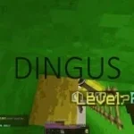 Dingus