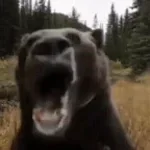 BATIDAO FUNK (ULTRA SLOWED)