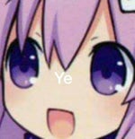 Pinche gato zzz - Sound