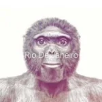 lams qui debite saturer