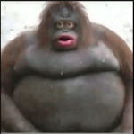 Ohhh My God Sound effect