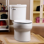 Yea yea yea no Dias toilet