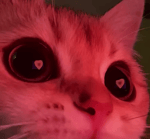 ME GUSTA TU ( sped up )