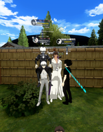 flashstep bleach