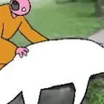 artefoxgaming ender dragon