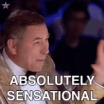 Absolutely Magnificent Goal