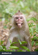 Goofy Laugh 1