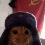 THIS IS RUSSIA!! (copy)