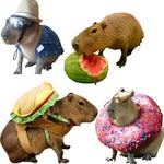 okay i pull up speed up capybara - Sound