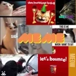 That friend that thinks everything’s funny when they’re fried