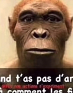 rire bassem