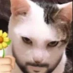 Kram kram puss puss (copy)