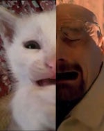 Billie Eilish - WILDFLOWER (PART 1)