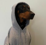 Olivia Rodrigo traitor (Official Instrumental)