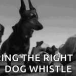 Dog Whistle