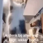 Apulanta - Lokin Päällä Lokki - 2Late Hardstyle Remix