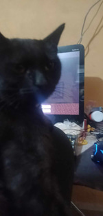 ai de asel